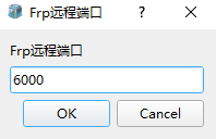 10_1_3_启用frp监控2